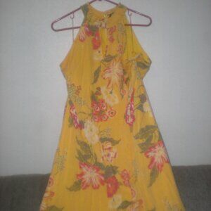 MILLIE GABRIELLE  Brand  Summer Dress   NWOT  Size XL  Maxi